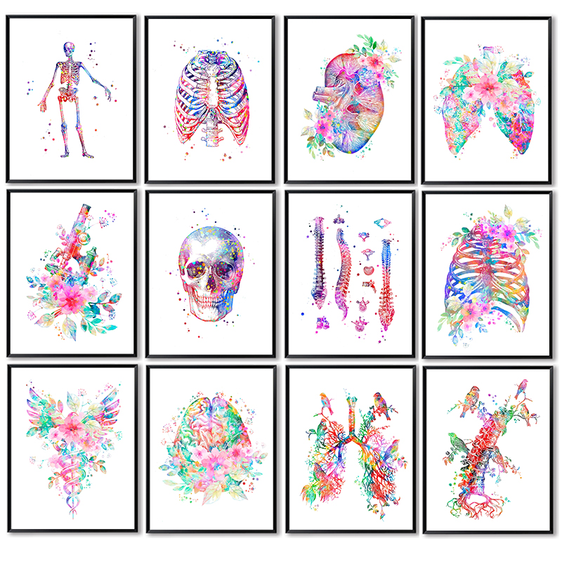 Medical Lab Posters - Анатомический медицинский постер: Картина на холсте
