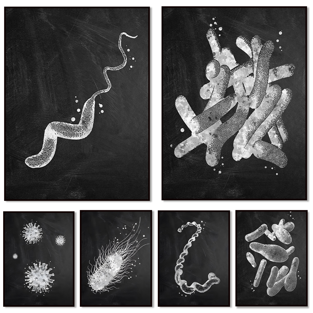 Medical Lab Posters - Плакат с видами бактерий, микробиологическое искусство,