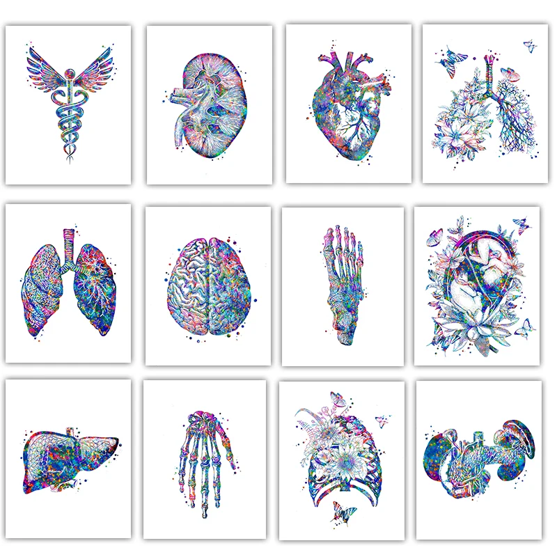 Medical Lab Posters - Анатомический медицинский постер: Картина на холсте
