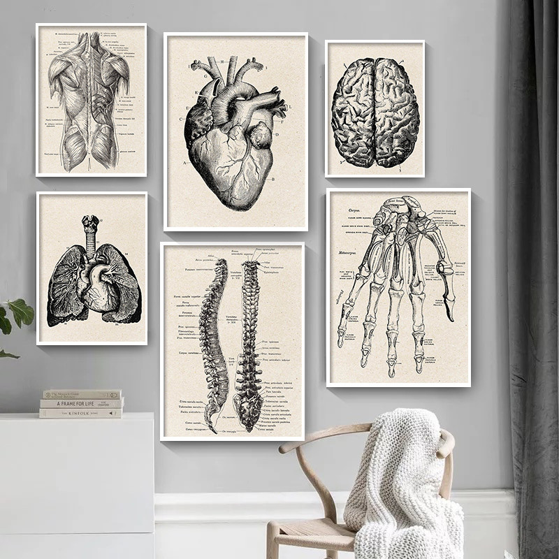 Medical Lab Posters - Медицинская анатомия, холст, художественный постер, винтажный