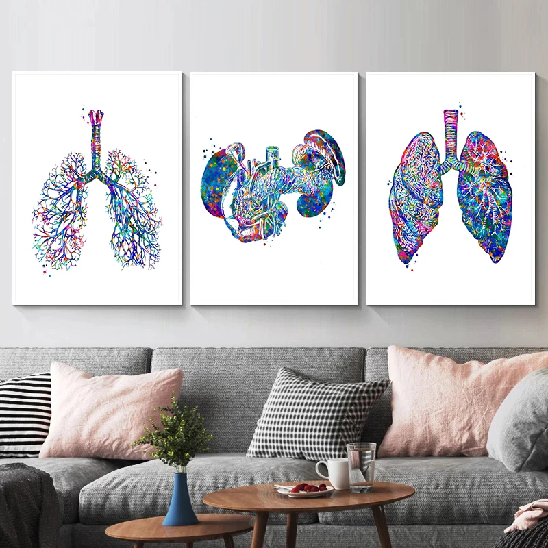 Anatomy Medical Poster Flower  – обзор и цена Medical Lab Posters