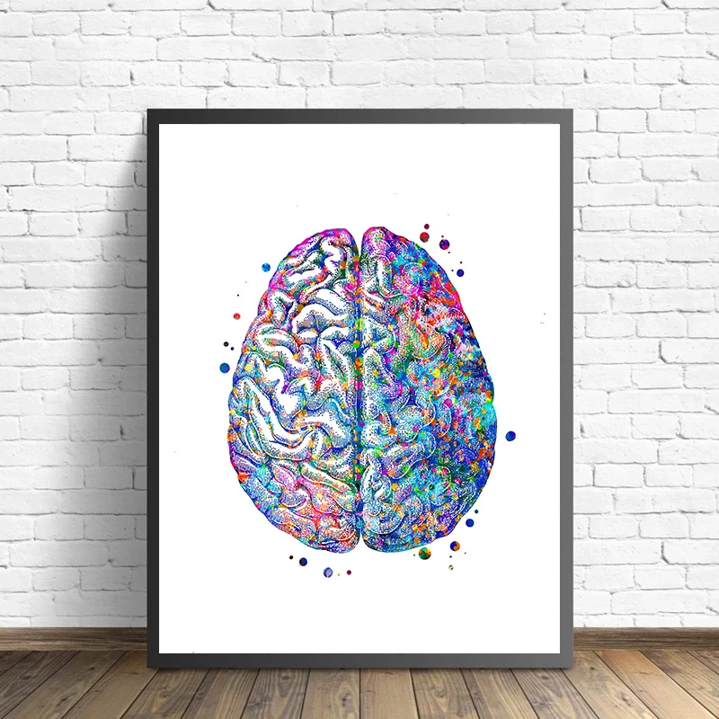 Anatomy Medical Poster Flower  – обзор и цена Medical Lab Posters