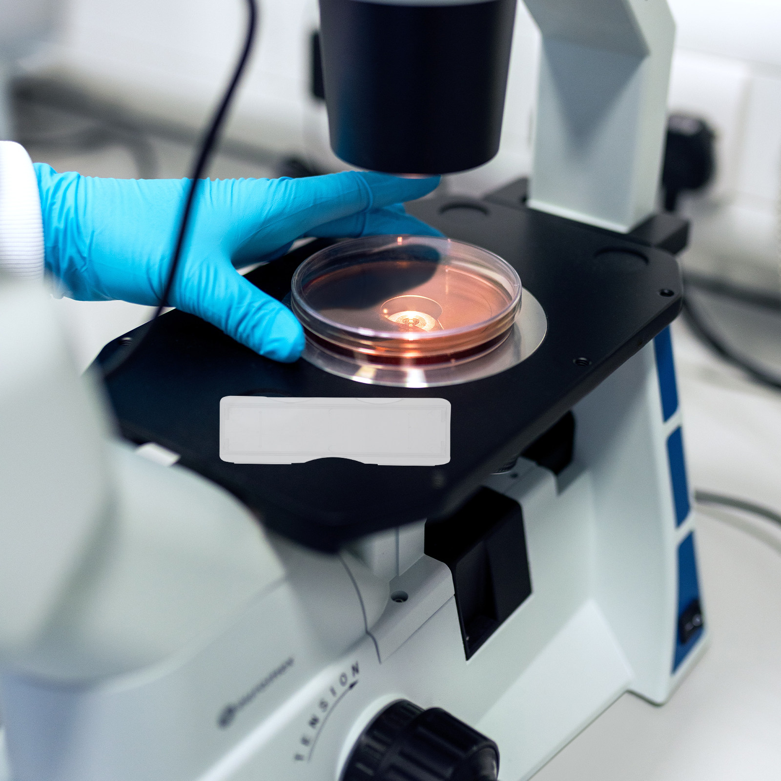 100 шт. пластиковых контейнеро – обзор и цена Pathology Slide Storage