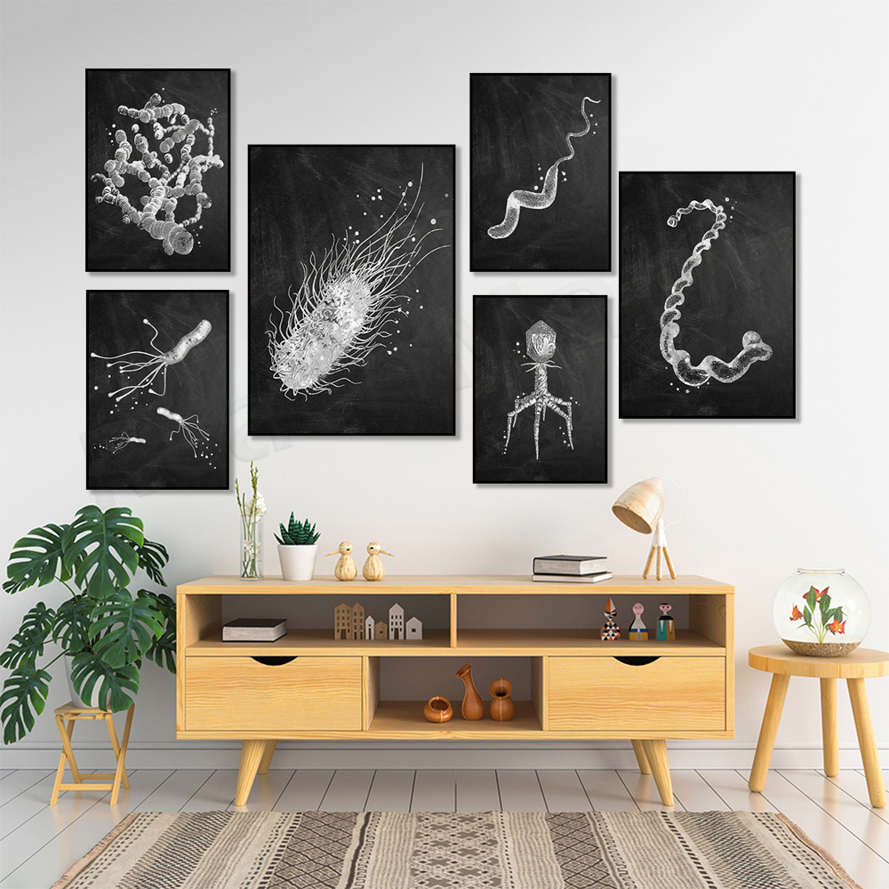 Плакат с видами бактерий, микр – обзор и цена Medical Lab Posters