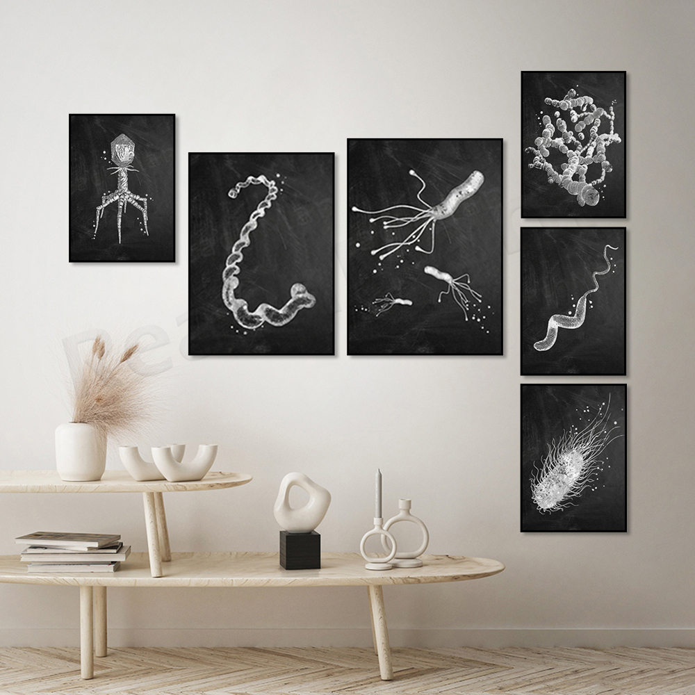 Плакат с видами бактерий, микр – обзор и цена Medical Lab Posters