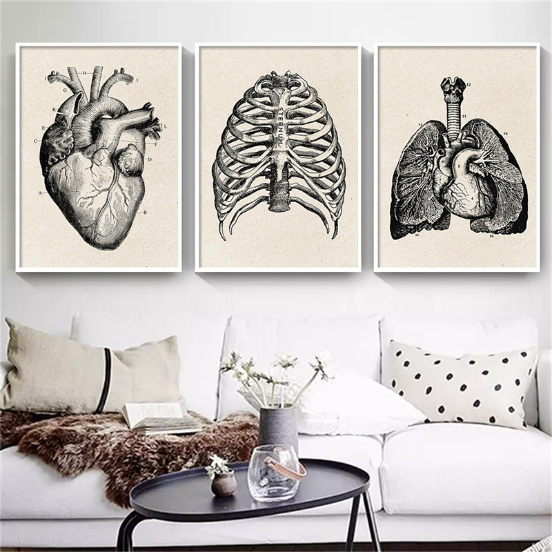 Медицинская анатомия, холст, х – обзор и цена Medical Lab Posters