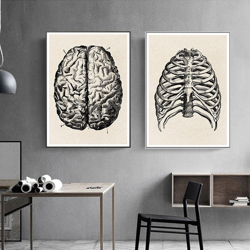 Медицинская анатомия, холст, х – обзор и цена Medical Lab Posters