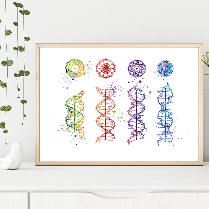 Молекула ДНК, принт, современн – обзор и цена Medical Lab Posters